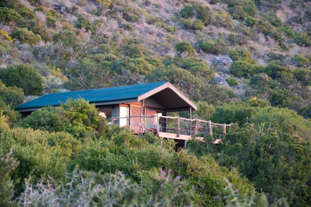 Hillsnek Safari Camp - Amakhala Game Reserve Villa Room photo