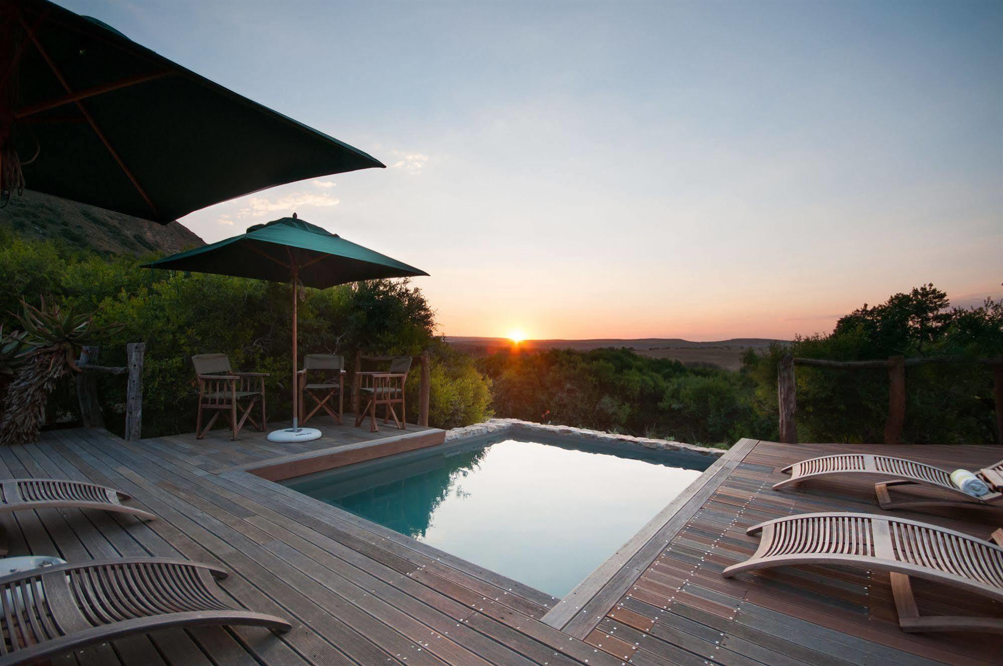 Hillsnek Safari Camp - Amakhala Game Reserve Exterior photo