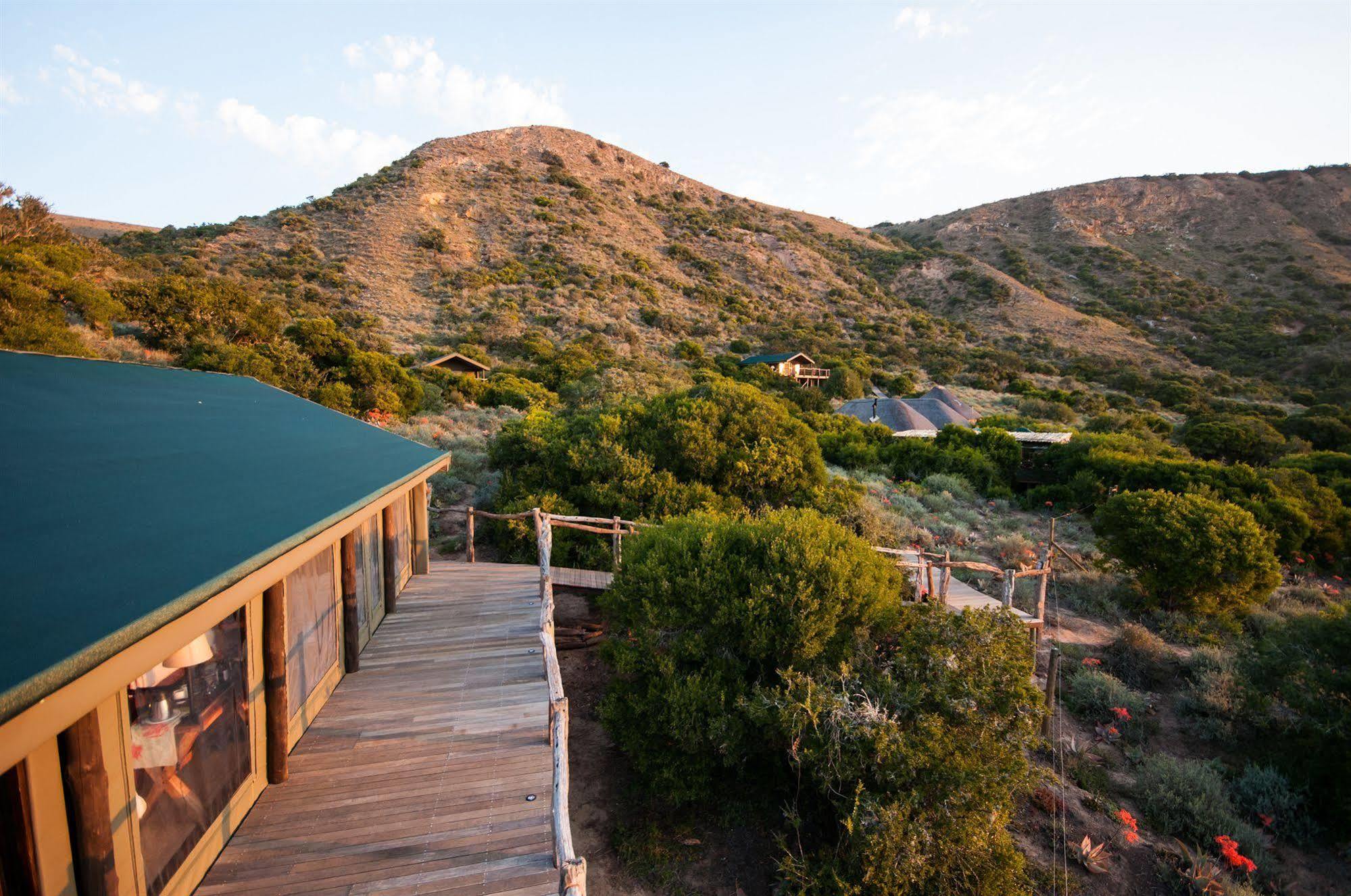 Hillsnek Safari Camp - Amakhala Game Reserve Villa Exterior photo