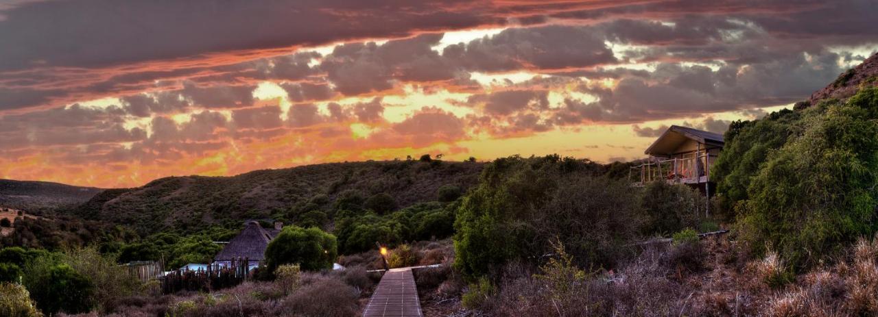 Hillsnek Safari Camp - Amakhala Game Reserve Villa Exterior photo